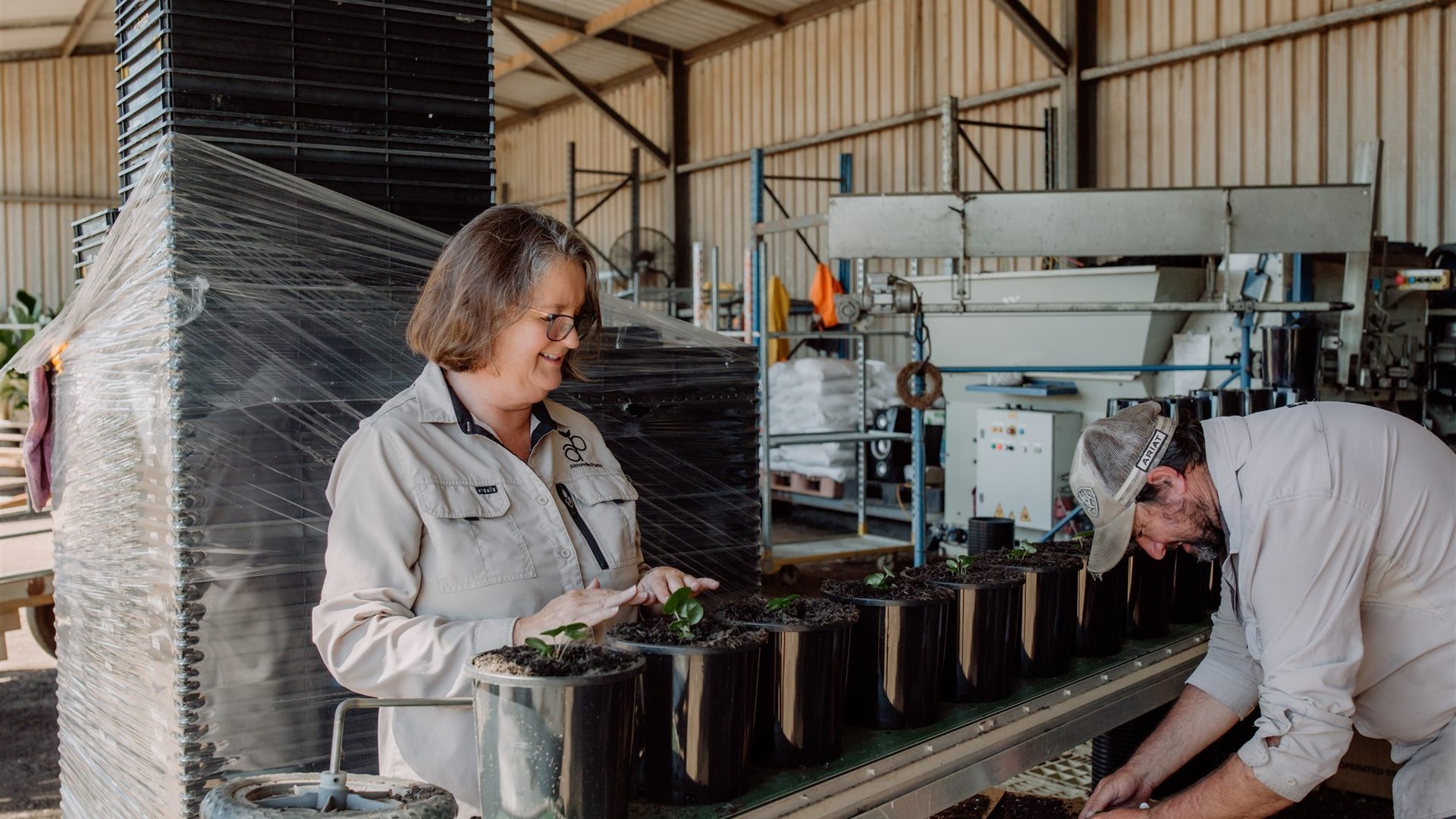 Two Florafolia staff potting up seedlings in the production shed at Rous, New South Wales